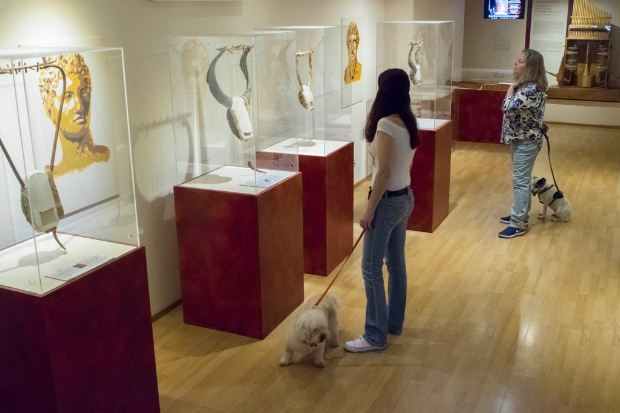 Ένα Pet-friendly Μουσείο στο κέντρο της Αθήνας