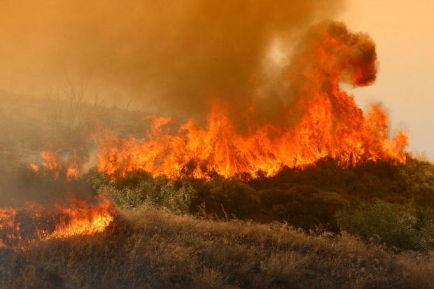 Ανακοίνωση της ΟΛΤΕΕ για τις πυρκαγιές στην Αττική